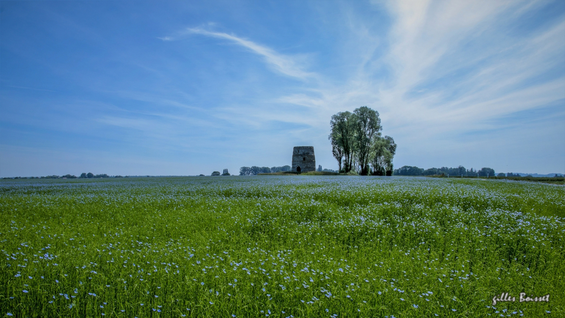 Campagne du Vexin normand au printemps