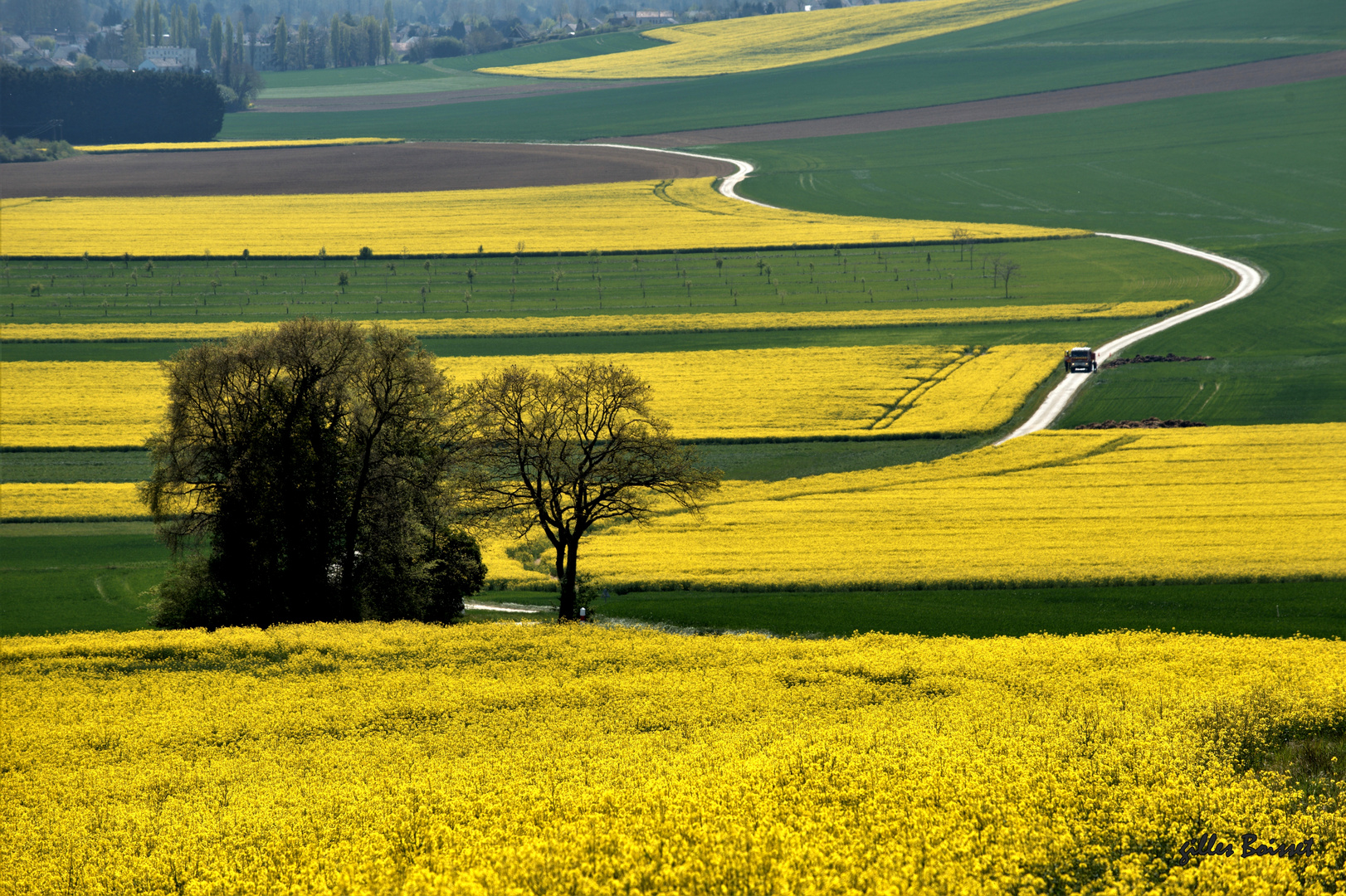 Campagne du Vexin normand au printemps