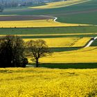 Campagne du Vexin normand au printemps