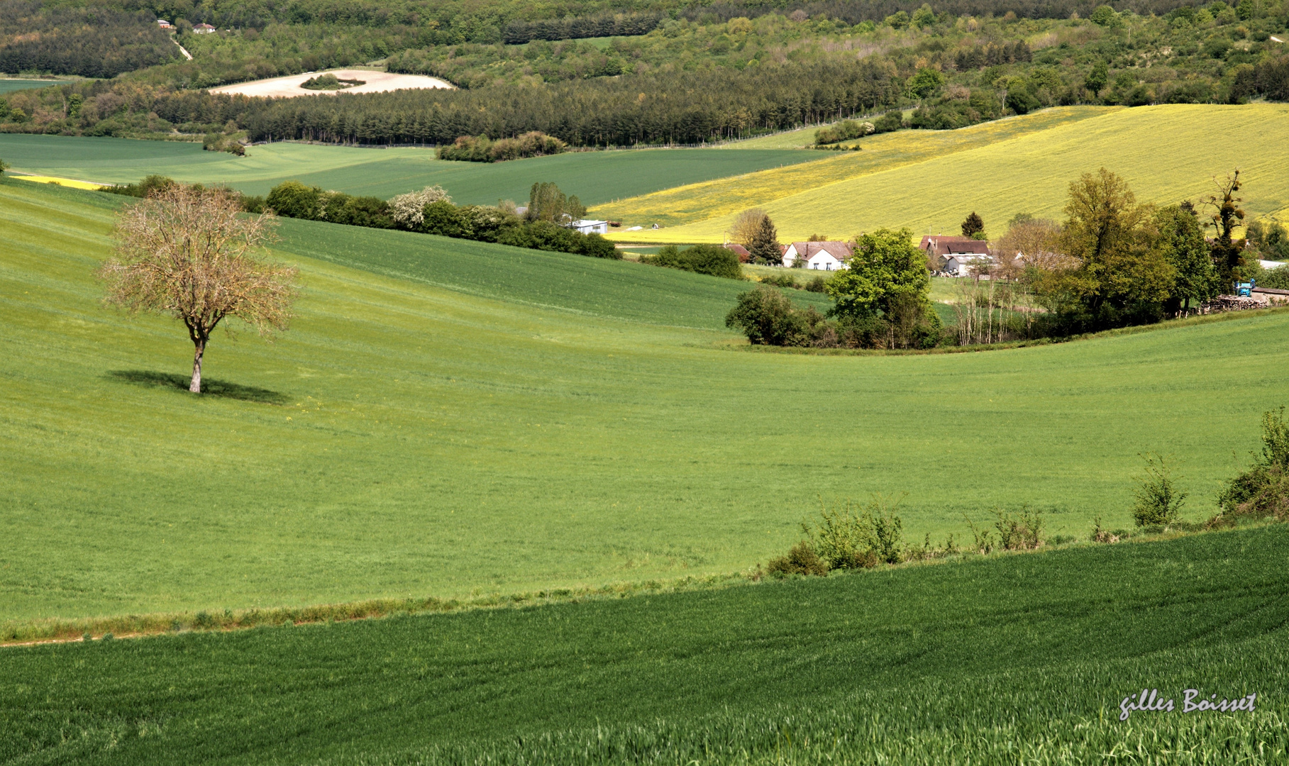 Campagne du Vexin normand au printemps