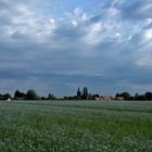 Campagne du Vexin normand au printemps