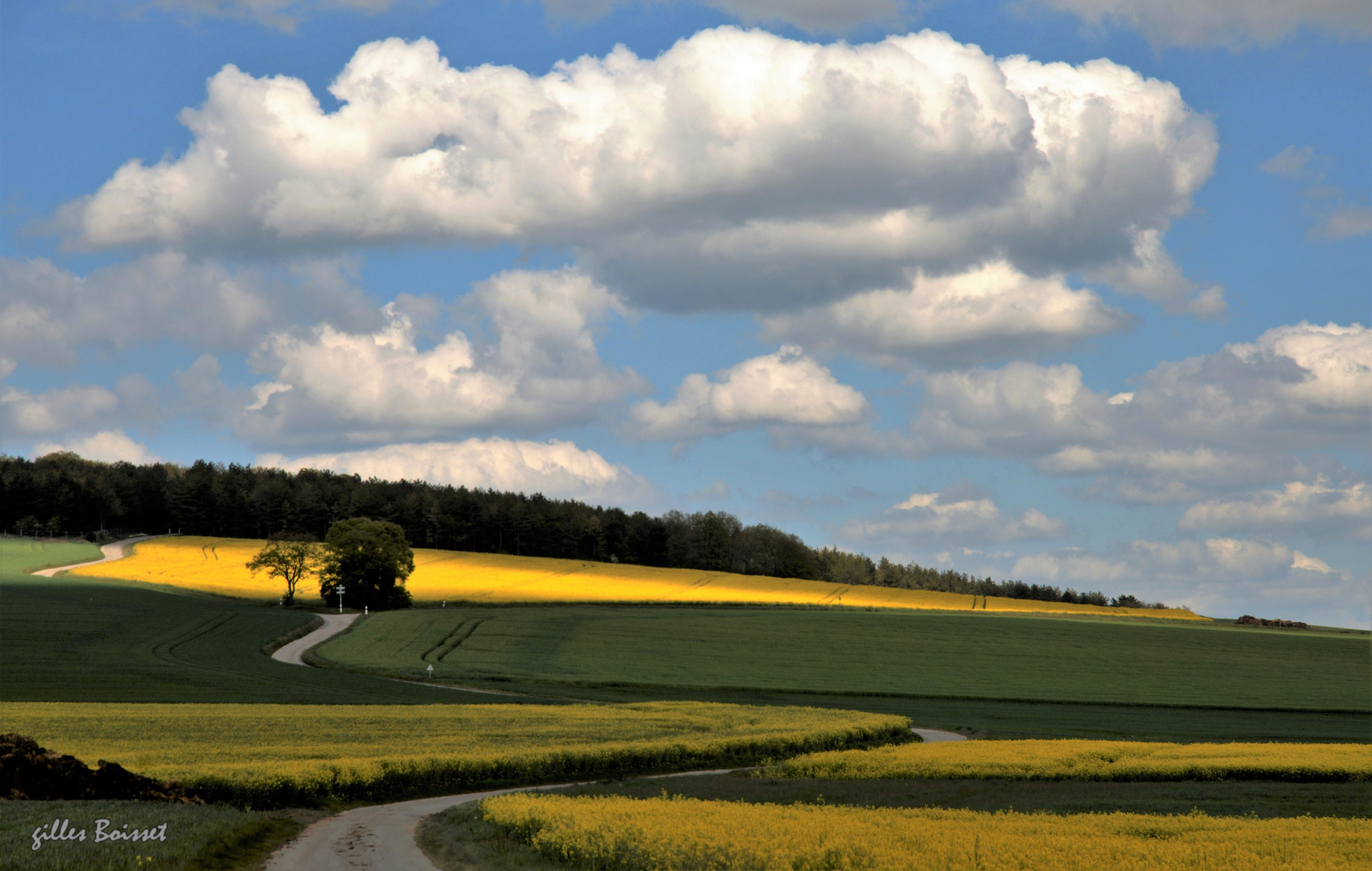 Campagne du Vexin normand au printemps