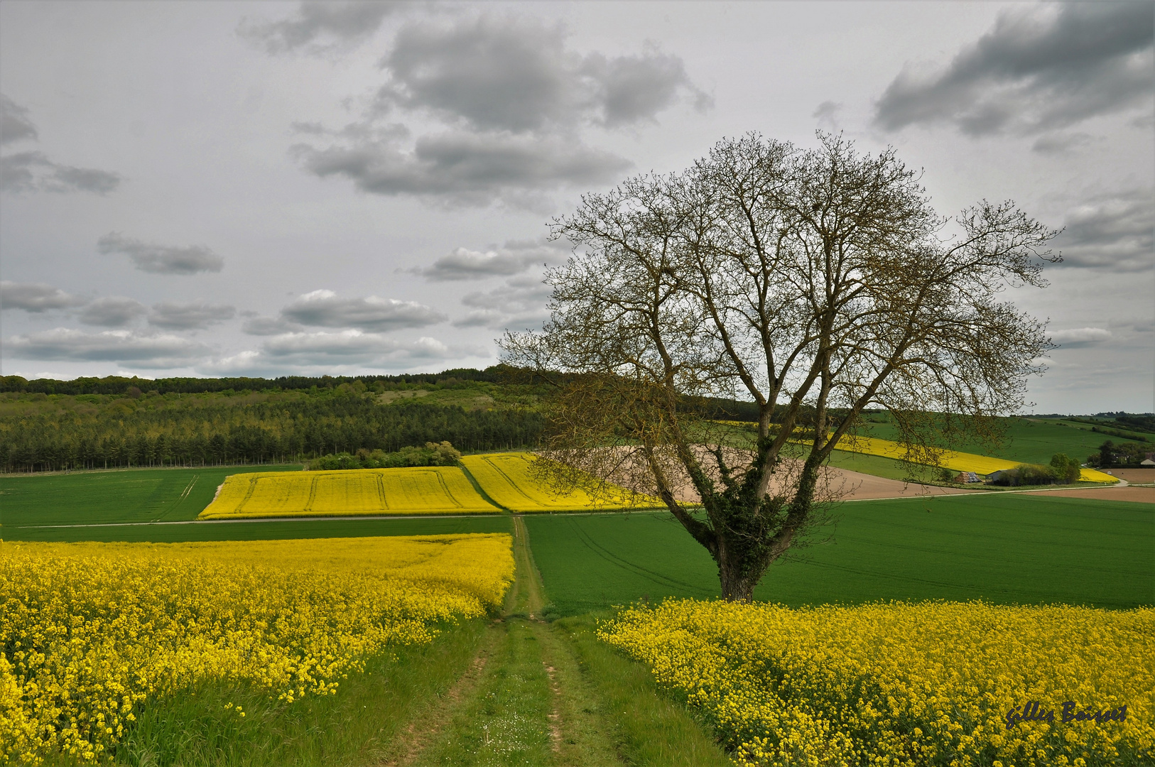 Campagne du Vexin normand au printemps