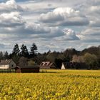 Campagne du Vexin normand au printemps