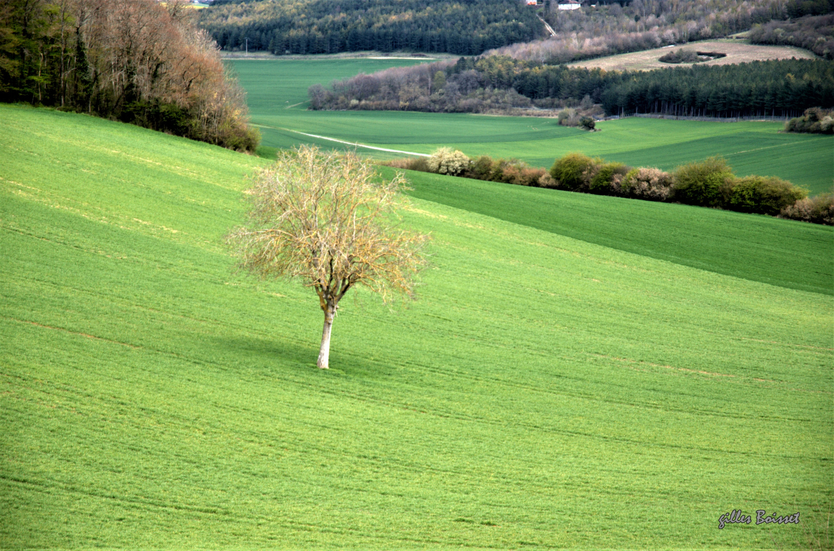 Campagne du Vexin normand au printemps