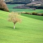 Campagne du Vexin normand au printemps