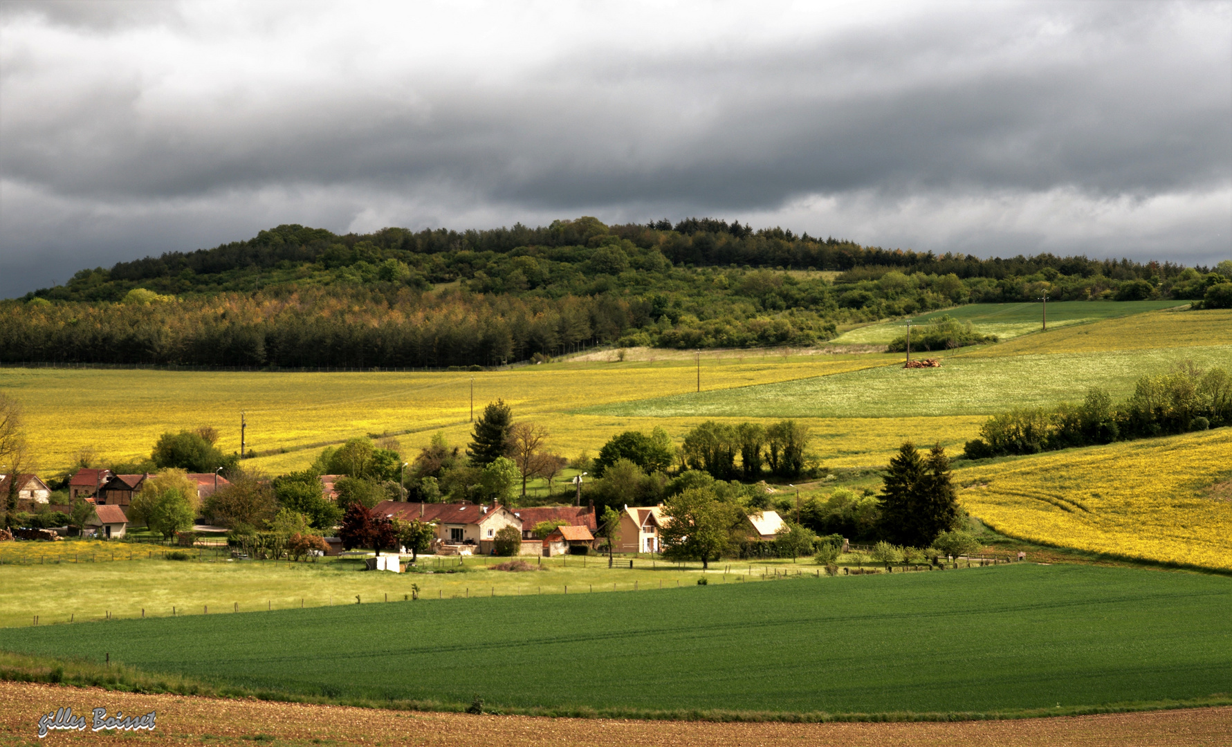 Campagne du Vexin normand au printemps