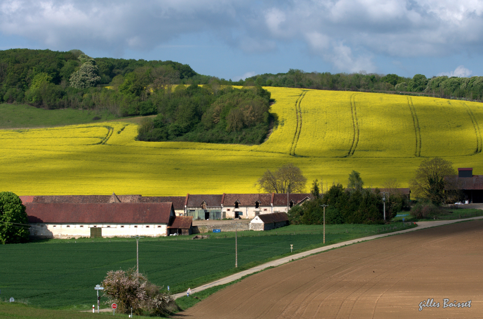 Campagne du Vexin normand au printemps