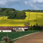 Campagne du Vexin normand au printemps