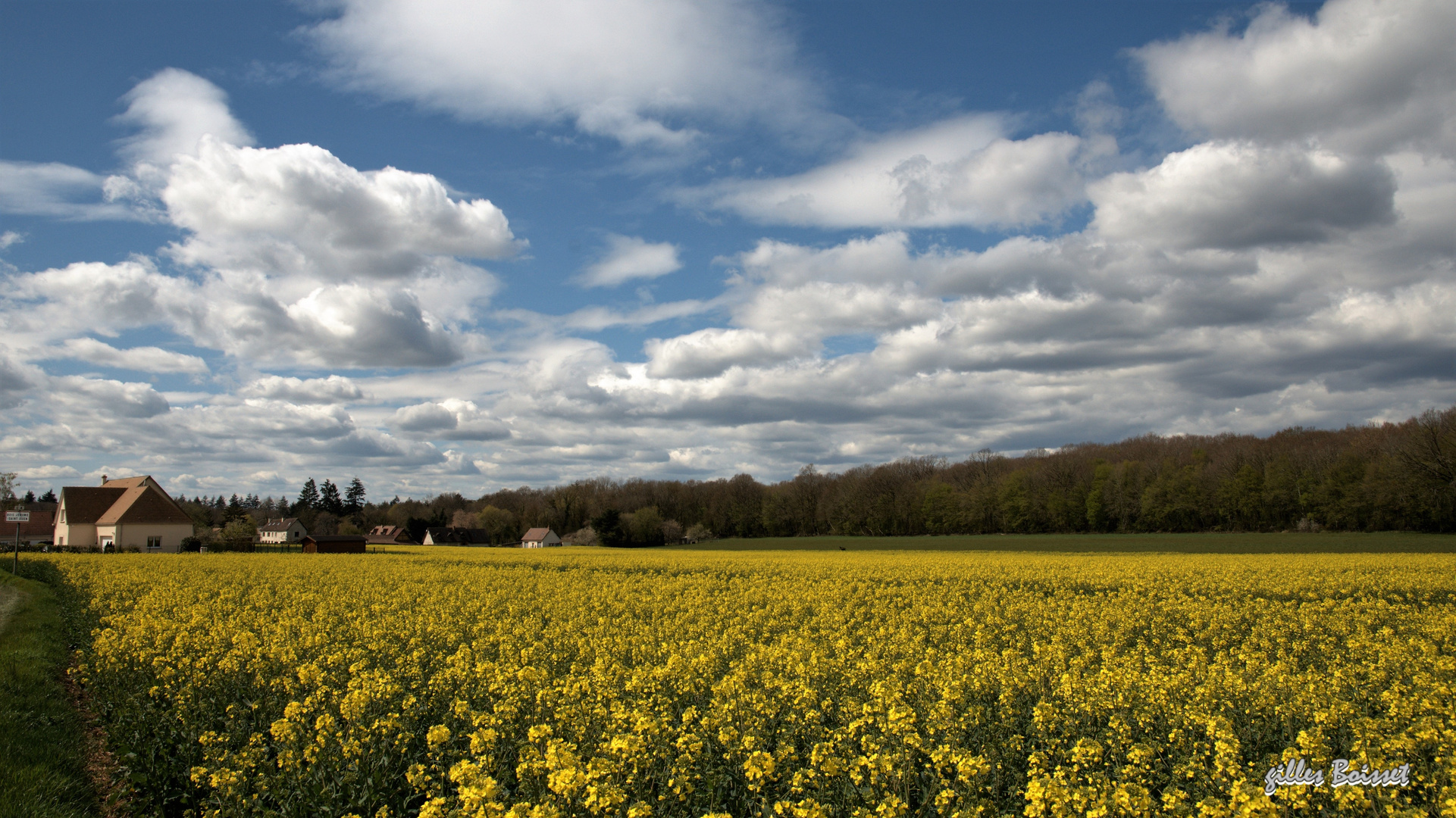 Campagne du Vexin normand au printemps