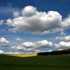 Campagne du Vexin normand au printemps