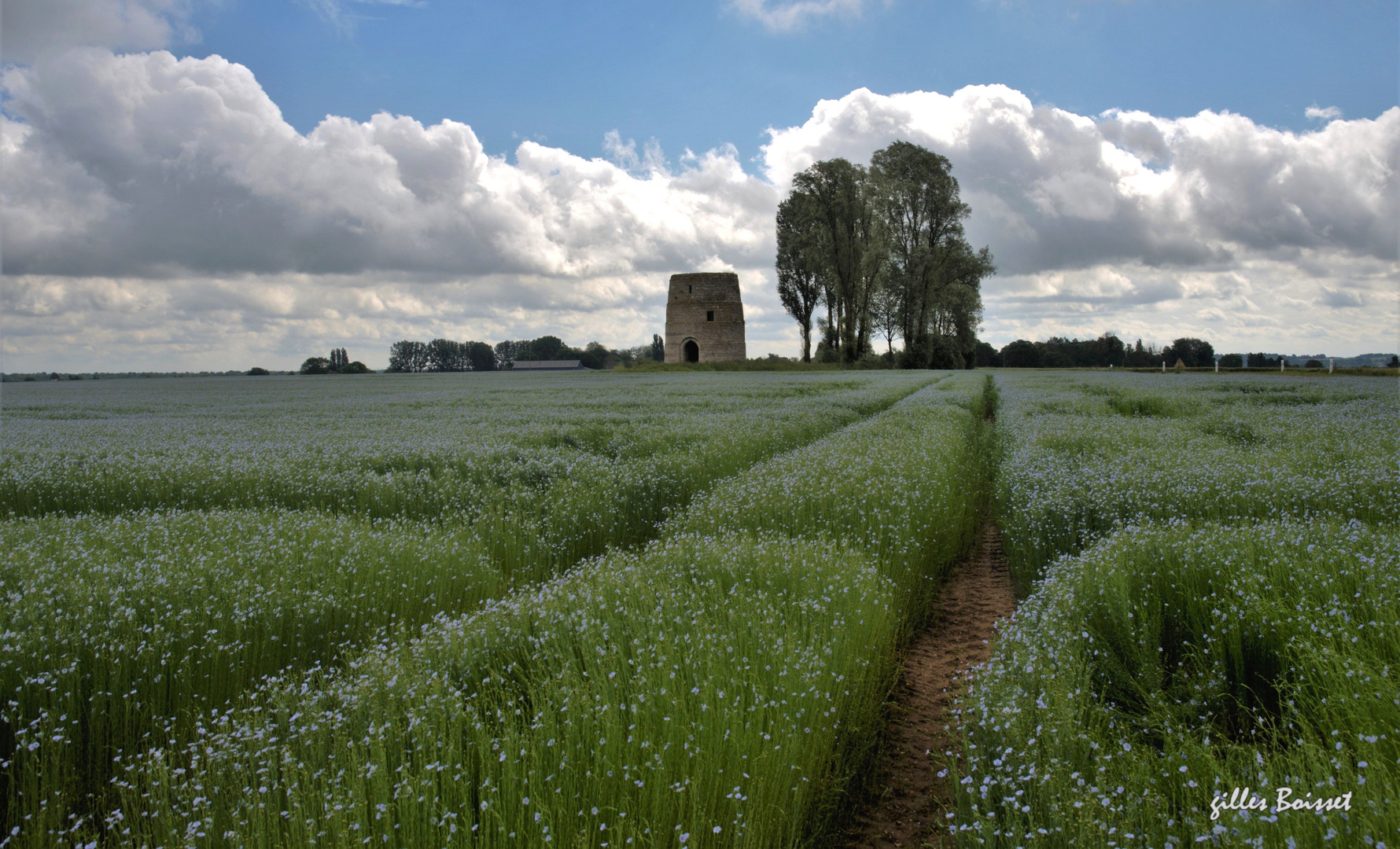 Campagne du Vexin normand au printemps