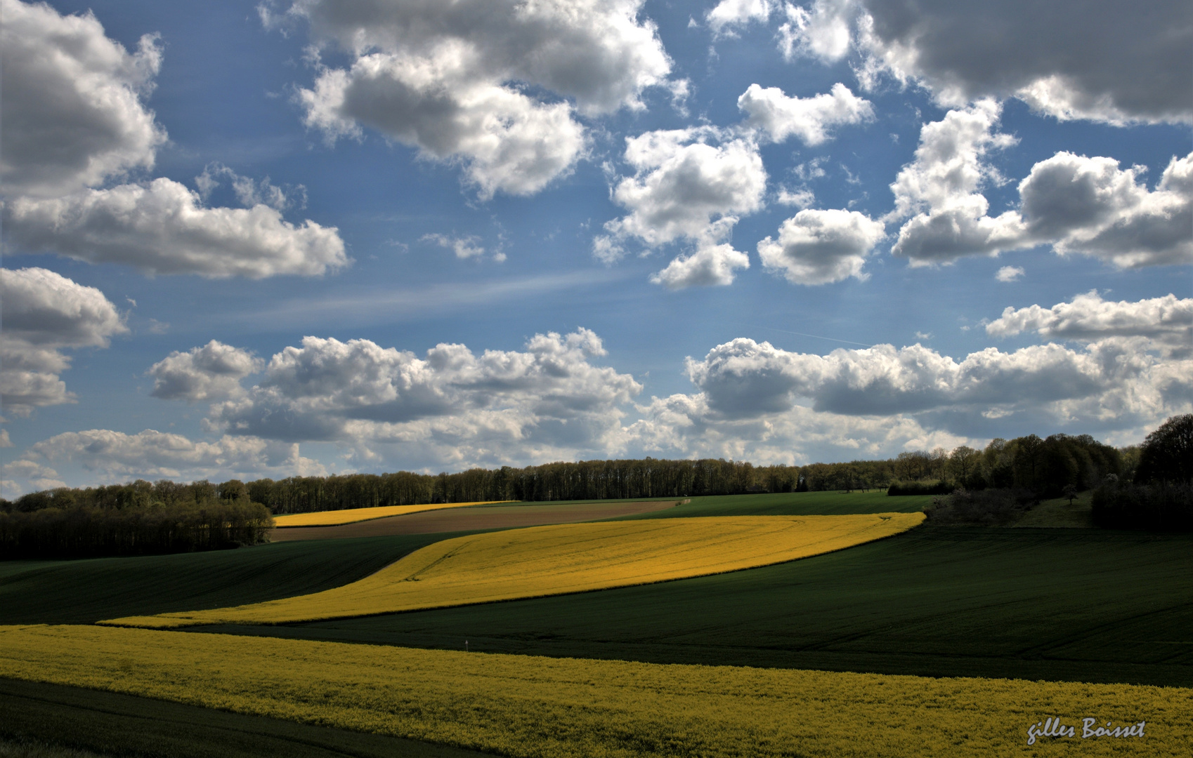 Campagne du Vexin normand au printemps