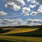 Campagne du Vexin normand au printemps