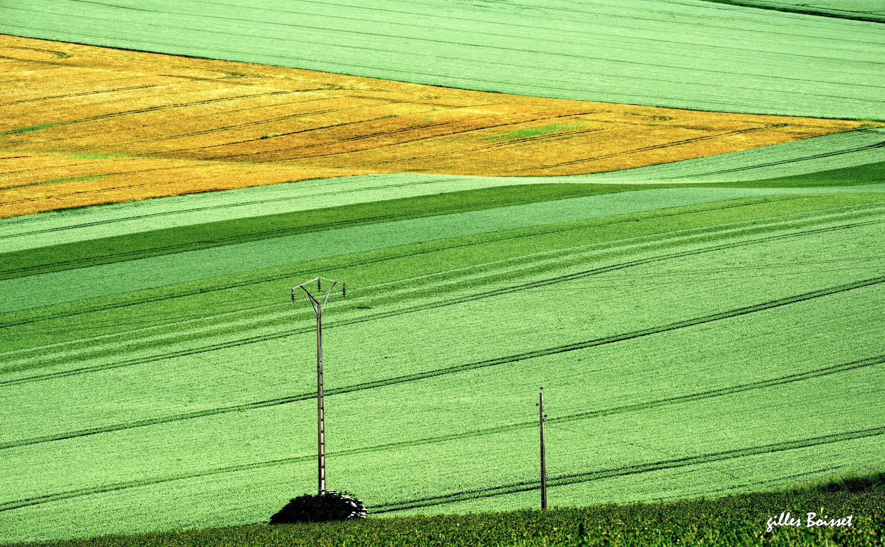 Campagne du Vexin normand au printemps