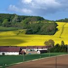 Campagne du Vexin normand au printemps