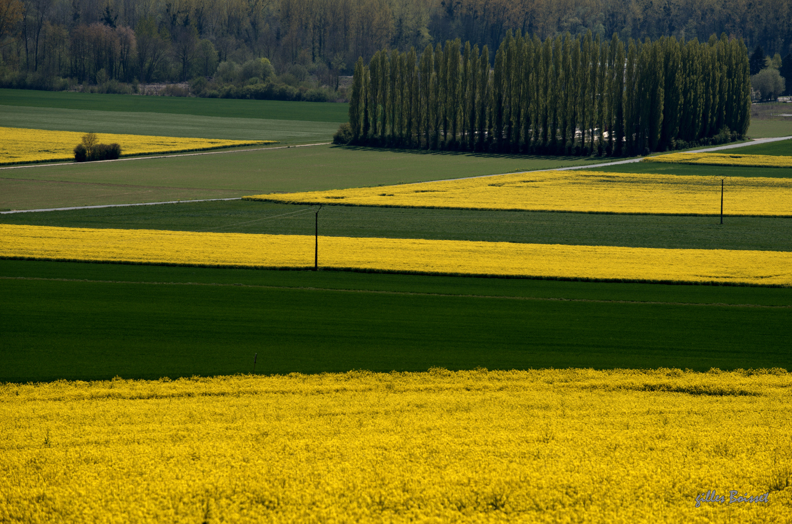 Campagne du Vexin normand au printemps