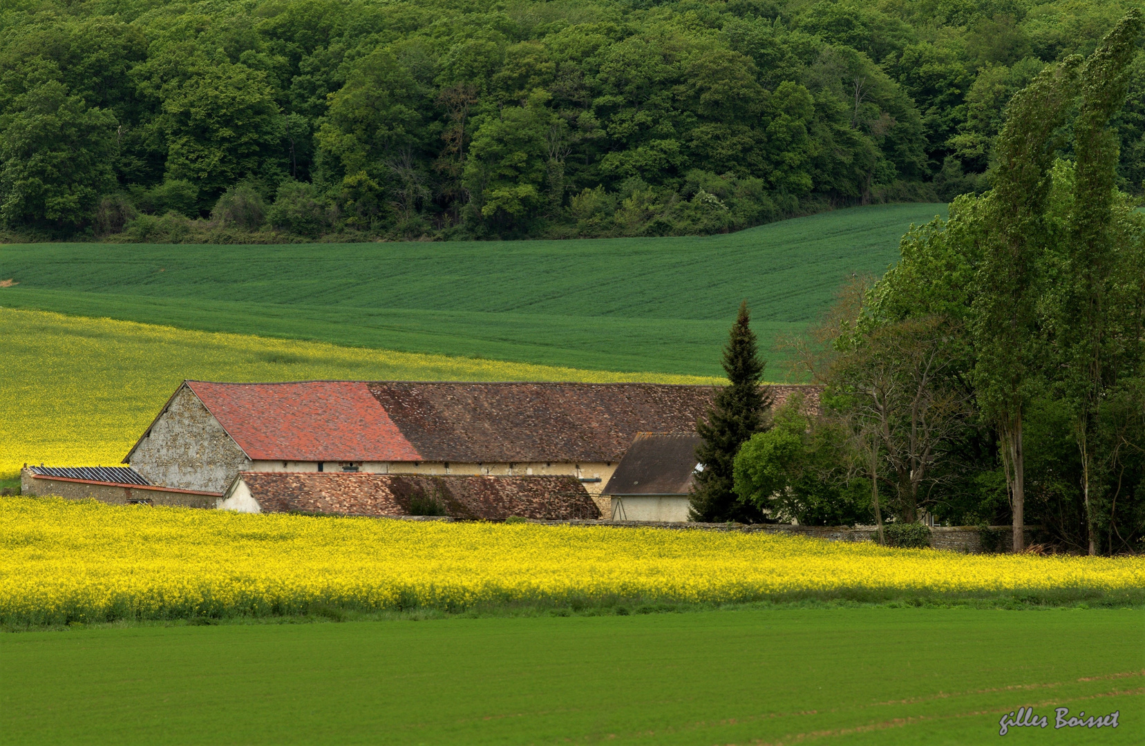 Campagne du Vexin normand au printemps