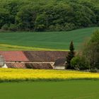 Campagne du Vexin normand au printemps