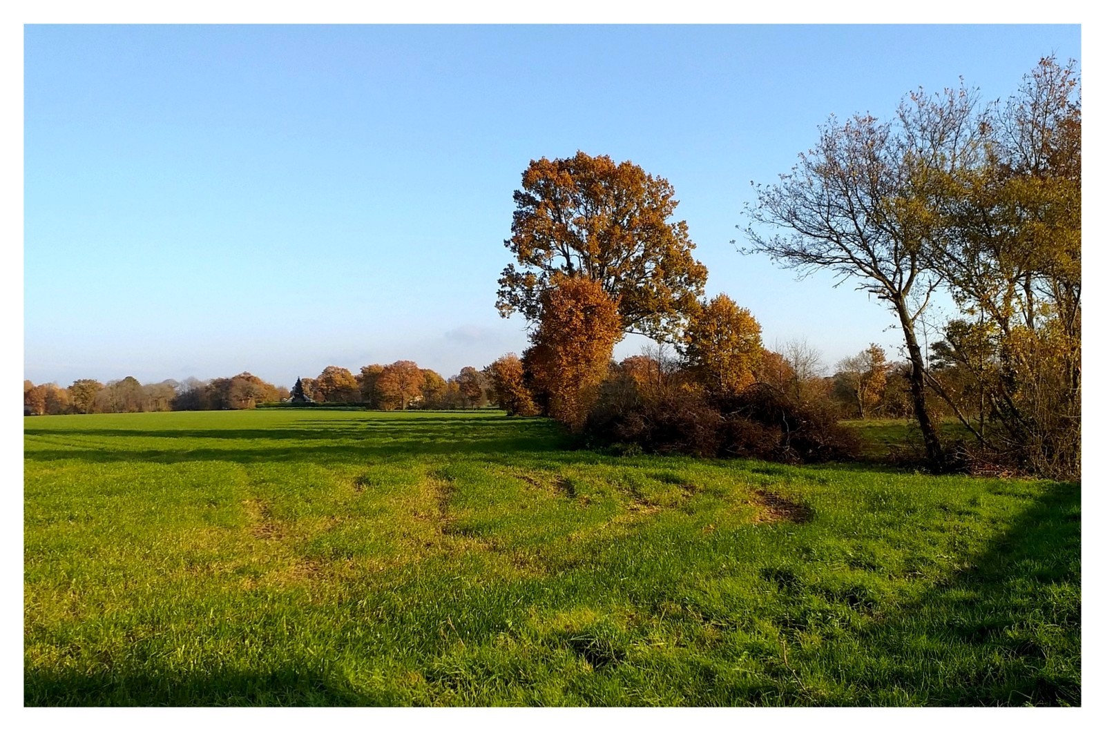 campagne en automne