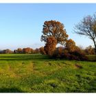 campagne en automne