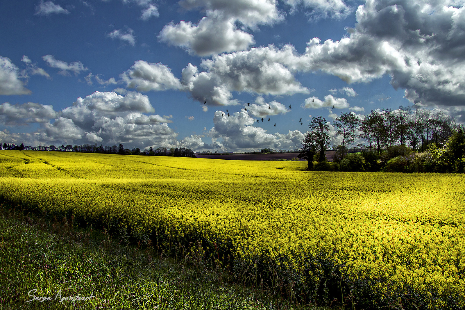 Campagne en fête