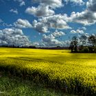 Campagne en fête