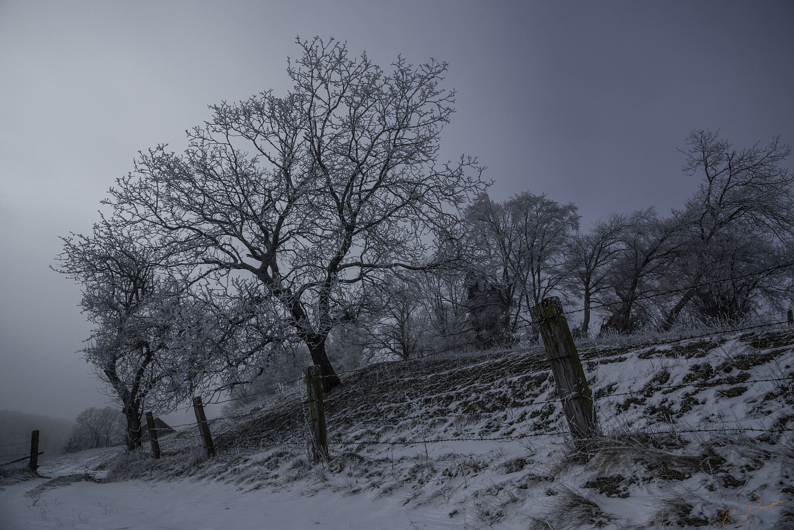 Campagne en hiver