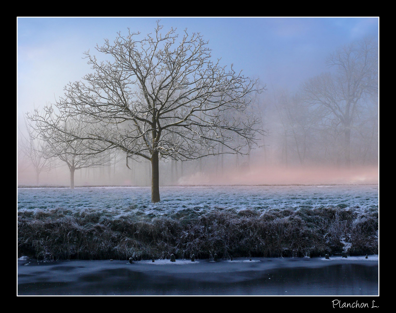 Campagne enneigée et brumeuse