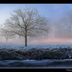 Campagne enneigée et brumeuse