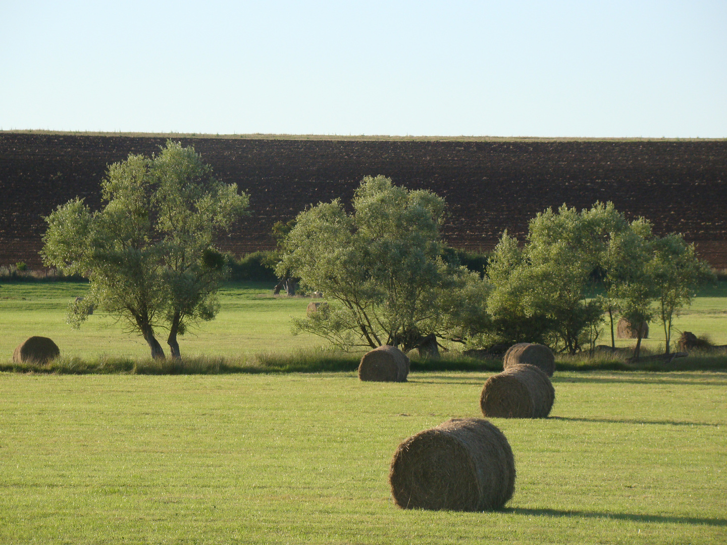 Campagne