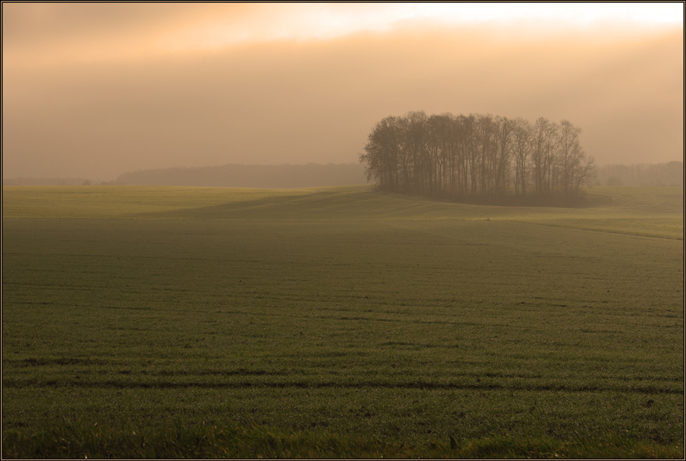 Campagne florennoise