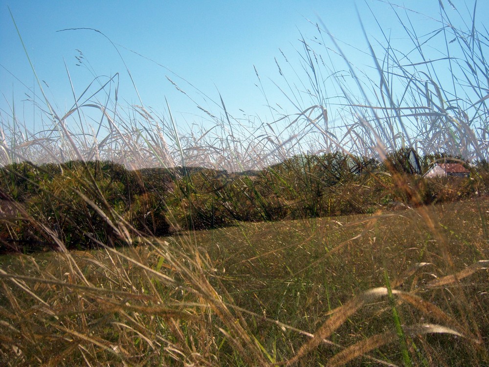 campagne gersoise