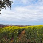 Campagne gersoise au printemps