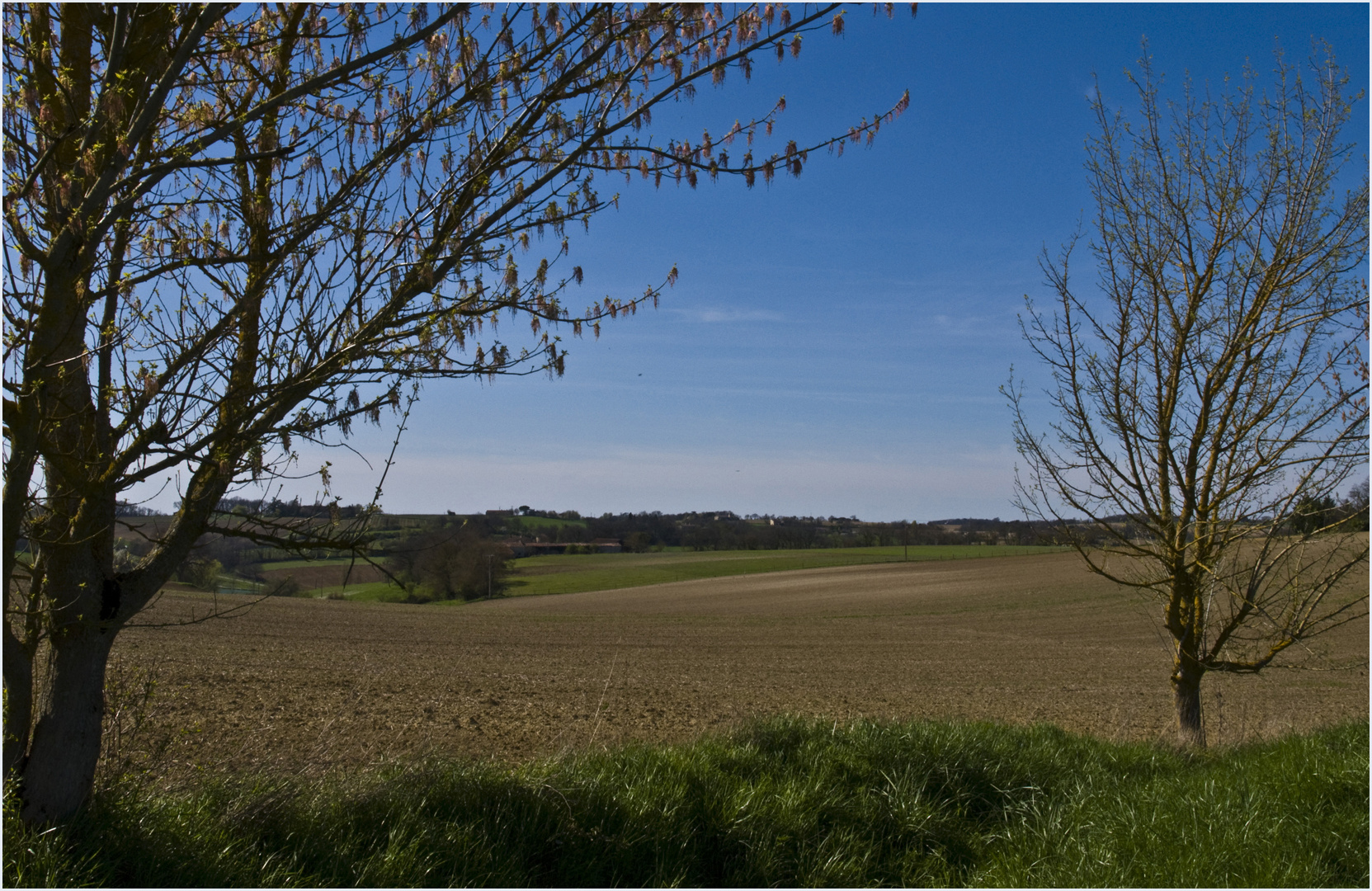 Campagne gersoise début avril