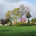 Campagne gersoise en avril