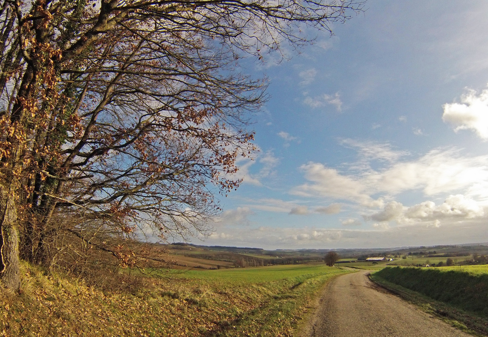 Campagne gersoise en hiver.