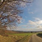 Campagne gersoise en hiver.