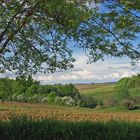 Campagne gersoise en mai