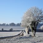 campagne givrée 