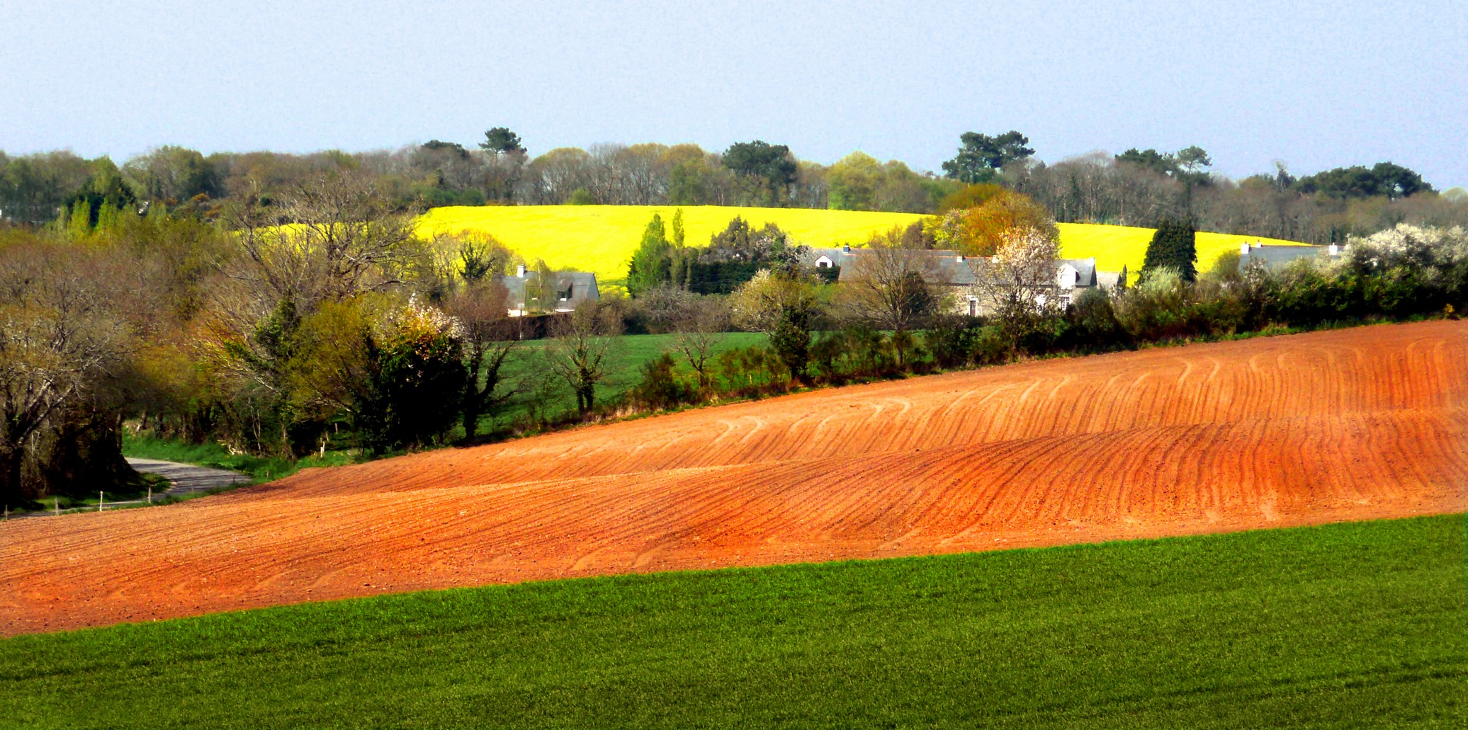 campagne guidéloise au printemps