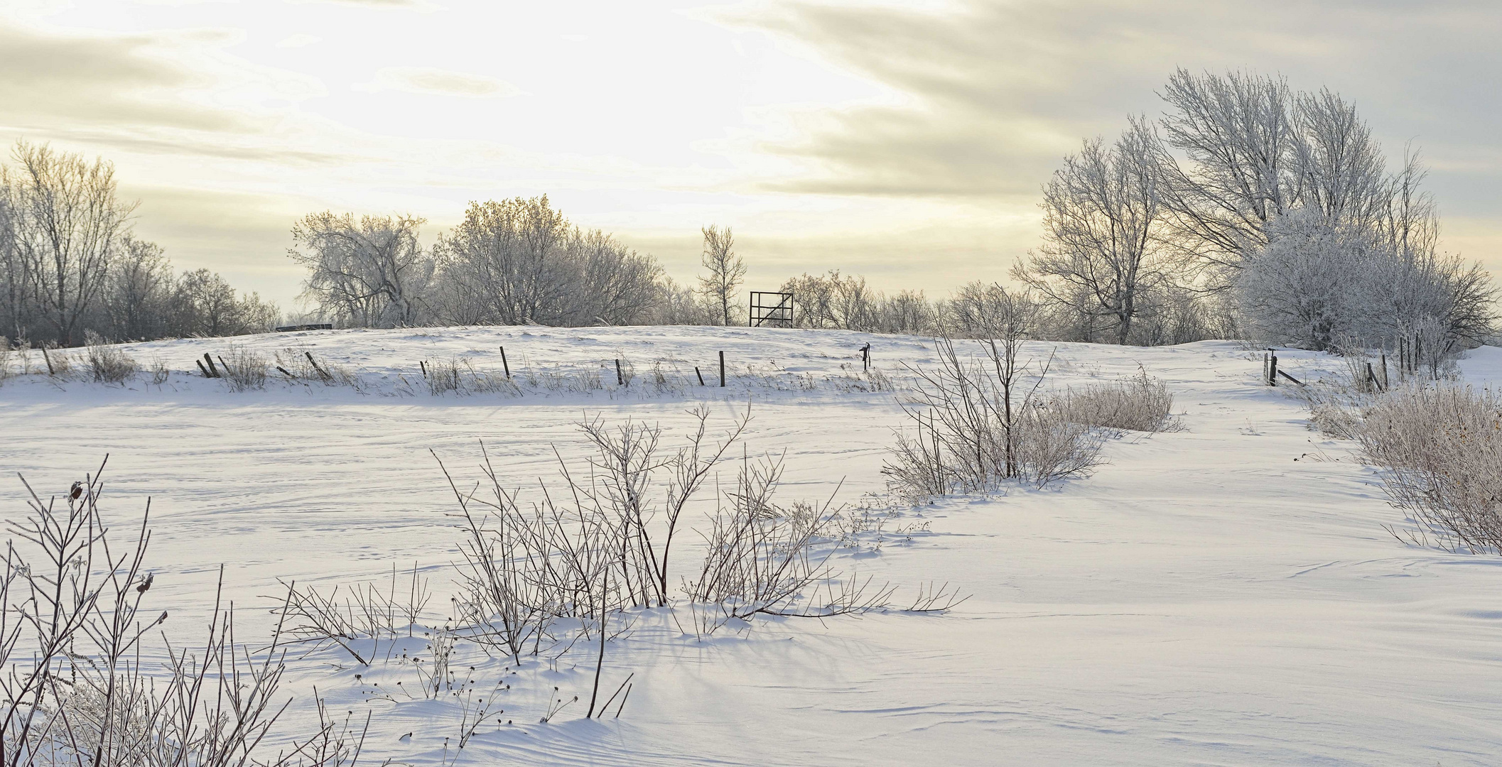 Campagne hivernal