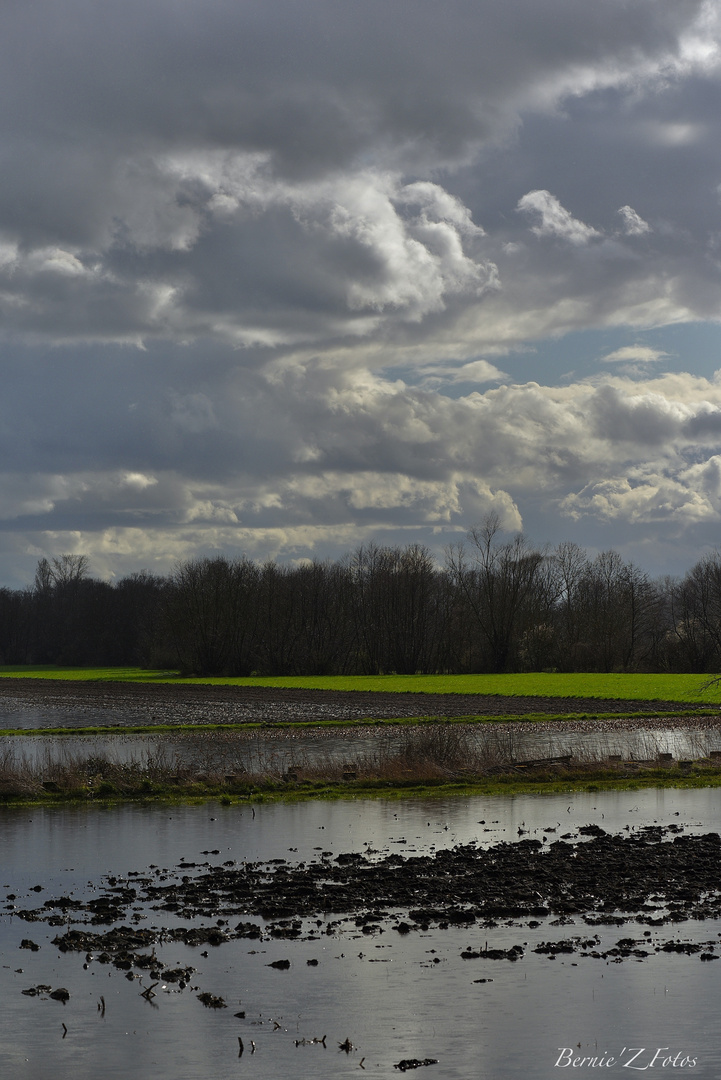 Campagne inondée