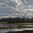 Campagne inondée