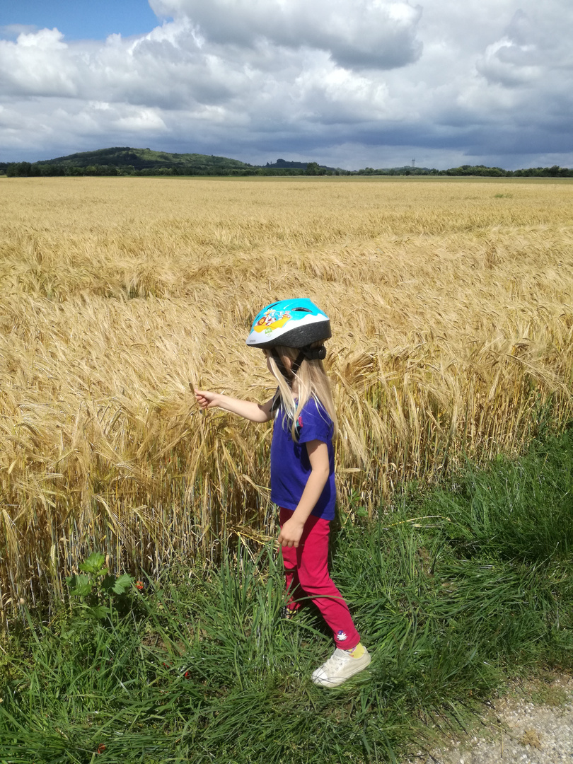 Campagne iséroise ...