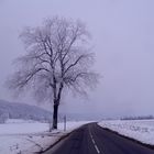 Campagne iséroise, en hiver ....