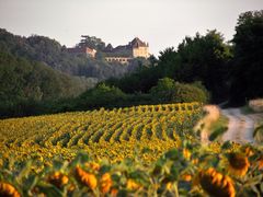 CAMPAGNE JURASSIENNE 2