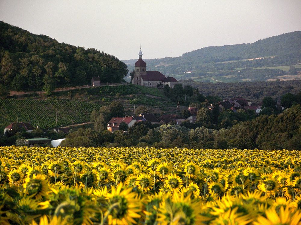 CAMPAGNE JURASSIENNE