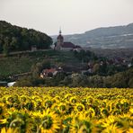 CAMPAGNE JURASSIENNE