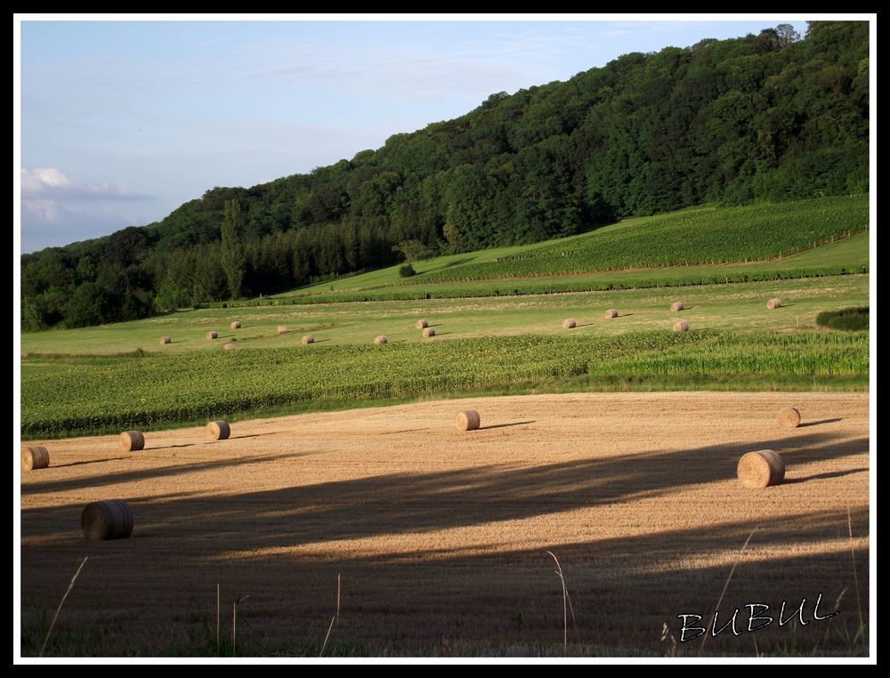 CAMPAGNE JURASSIENNE